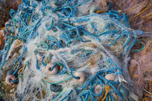 citation network graph